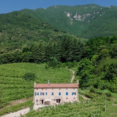 Agriturismo Podere Del Bosc Valmareno Dış mekan fotoğraf