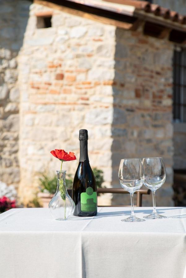 Agriturismo Podere Del Bosc Valmareno Dış mekan fotoğraf
