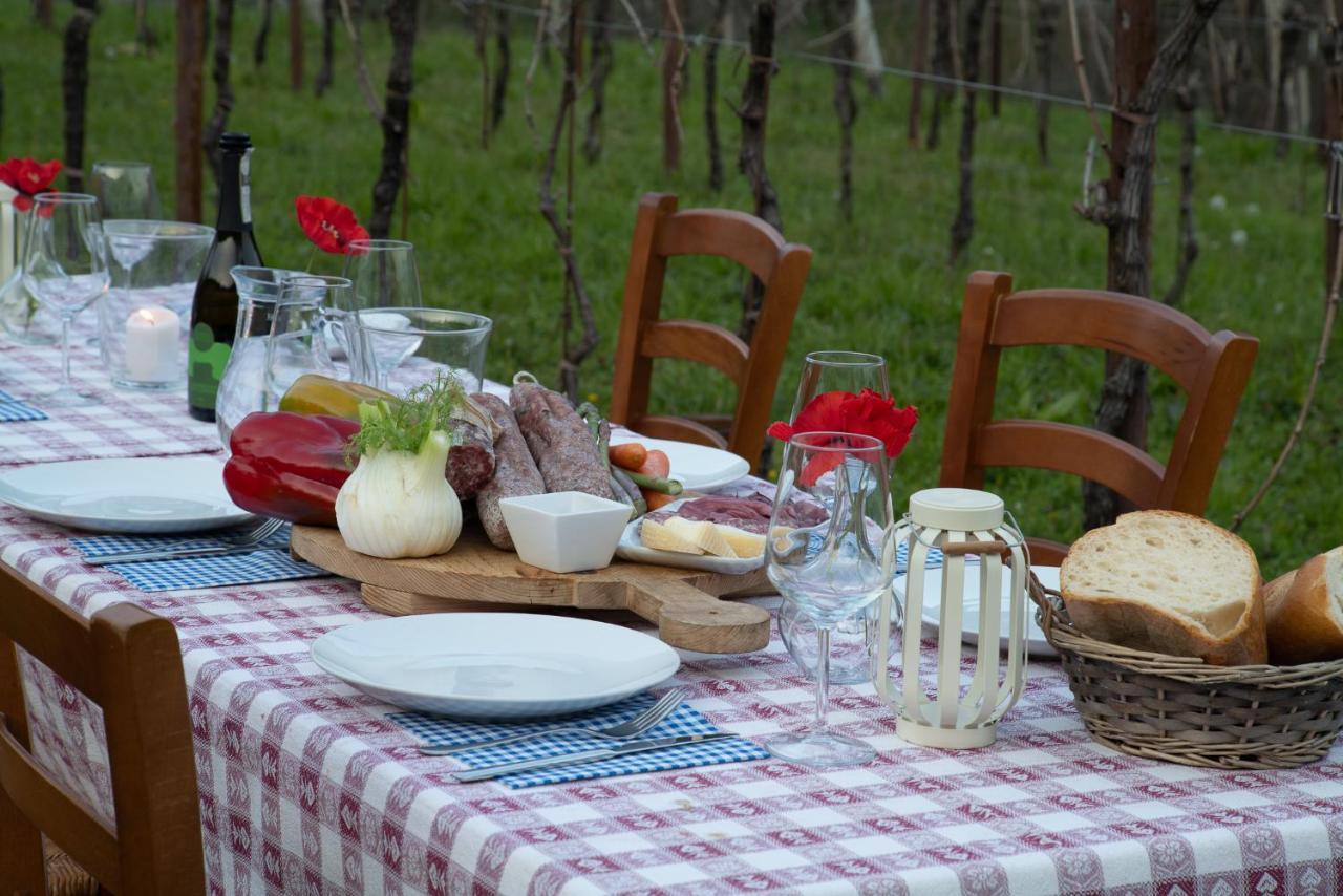 Agriturismo Podere Del Bosc Valmareno Dış mekan fotoğraf