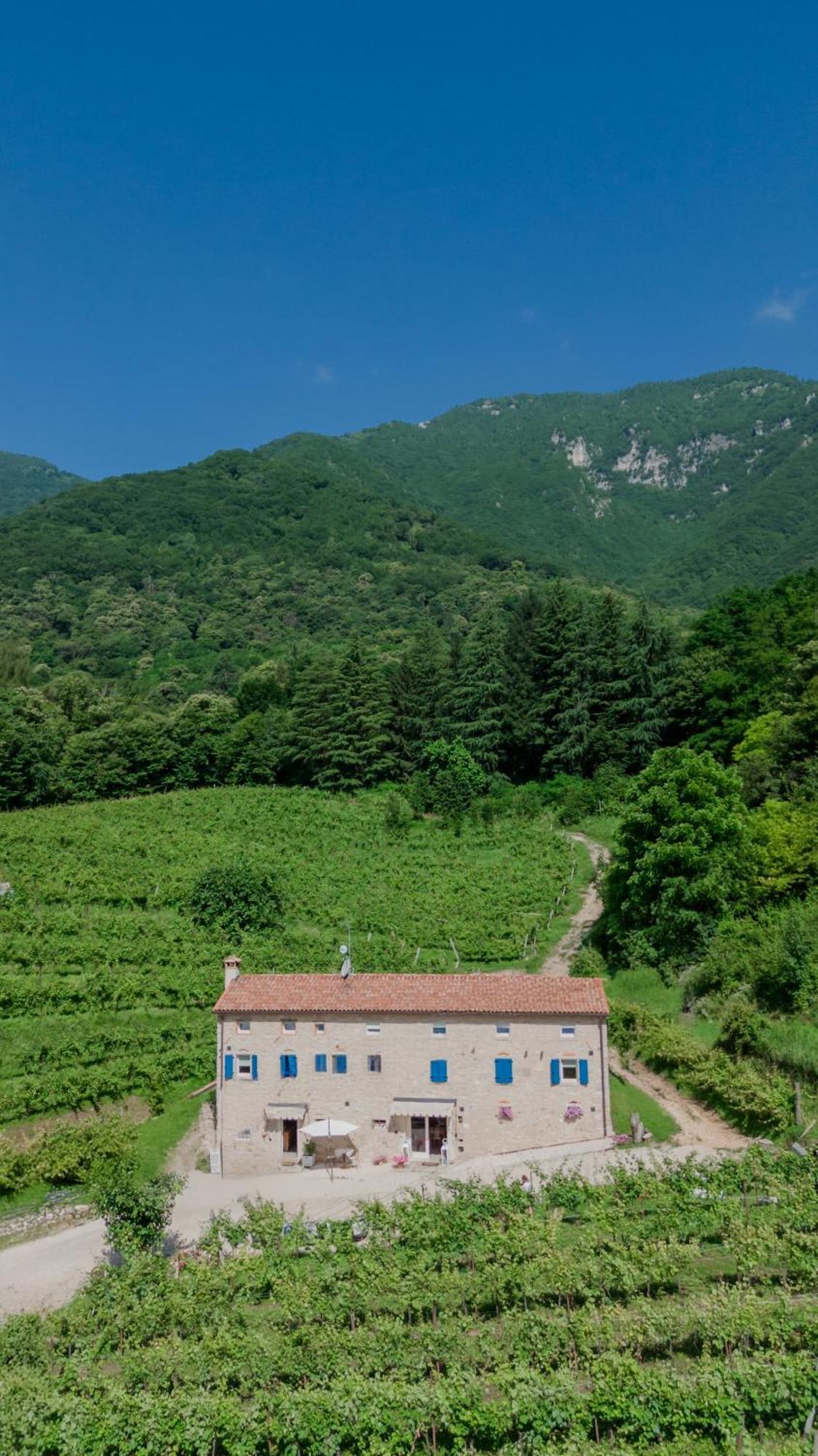 Agriturismo Podere Del Bosc Valmareno Dış mekan fotoğraf