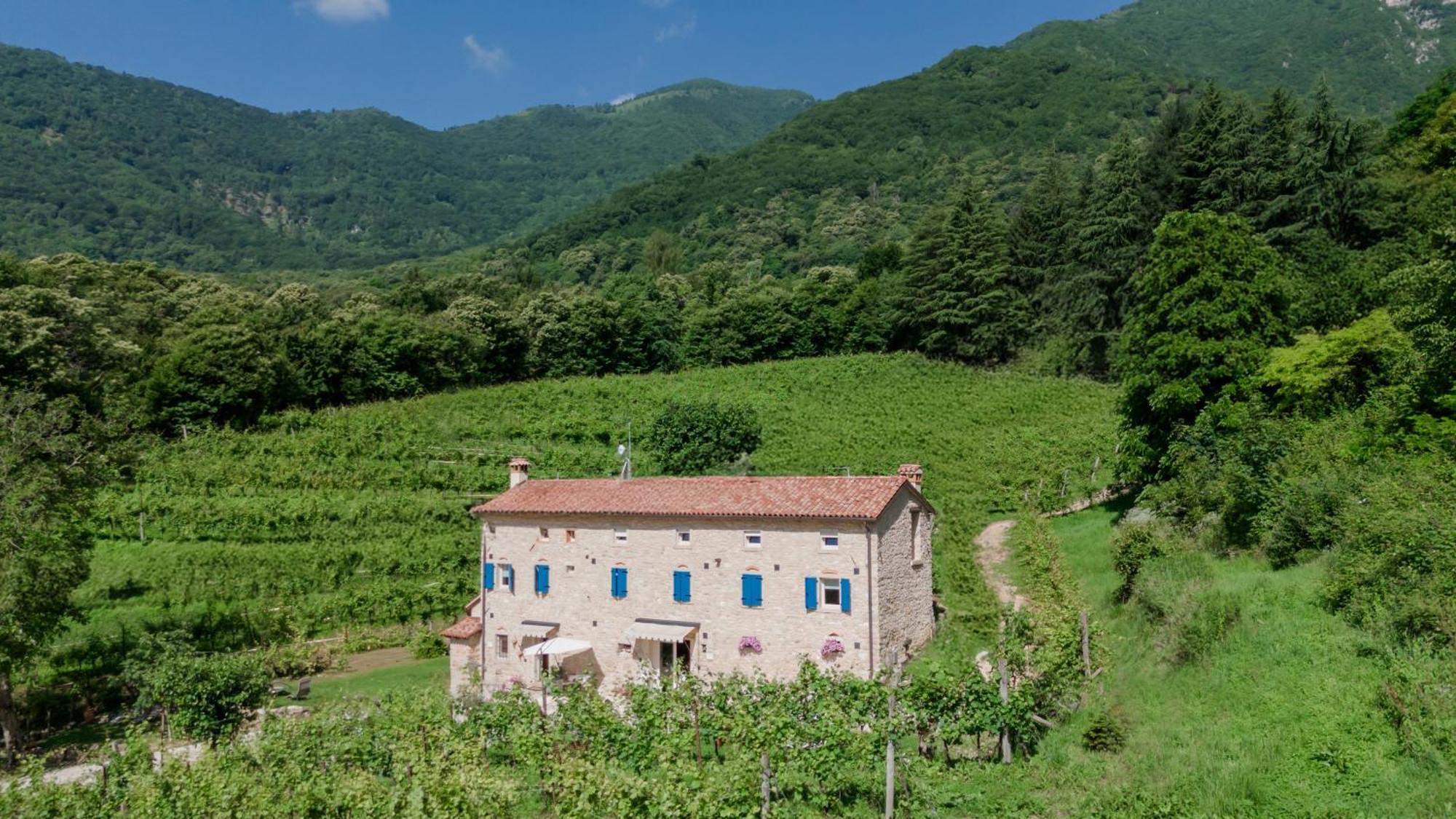 Agriturismo Podere Del Bosc Valmareno Dış mekan fotoğraf